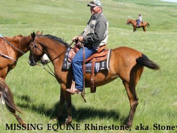 MISSING EQUINE Rhinestone, aka Stoney, REWARD Near Sidney, MT, 59270